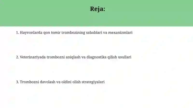 Hayvonlarda qon tomir trombozi 2