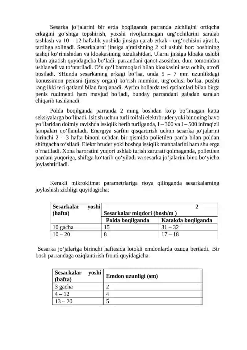 Sesarka jo’jalarni o’stirish va parvarishlash usullari 2