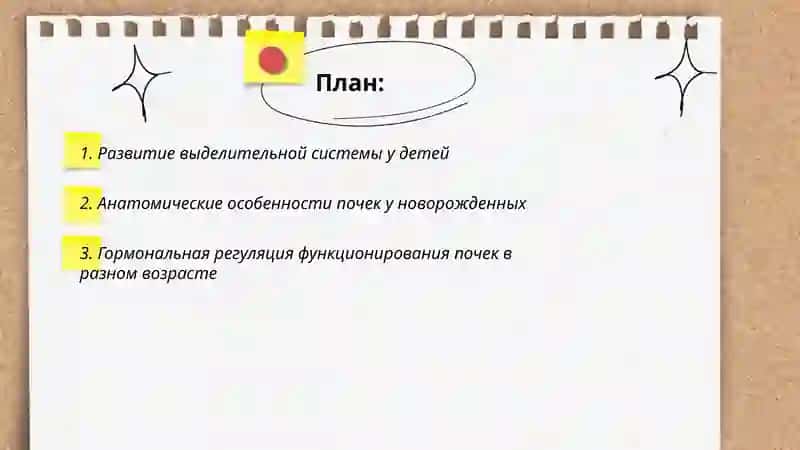Возрастные особенности и гигиена выделительной система 2