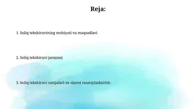 Sayyor soliq tekshiruvi 2