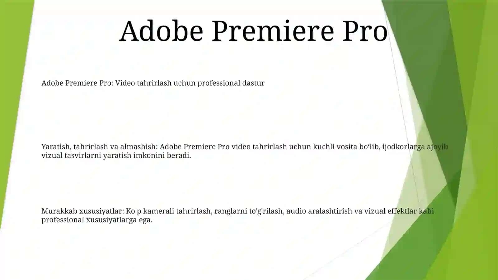 Adobe Premiere Pro 2