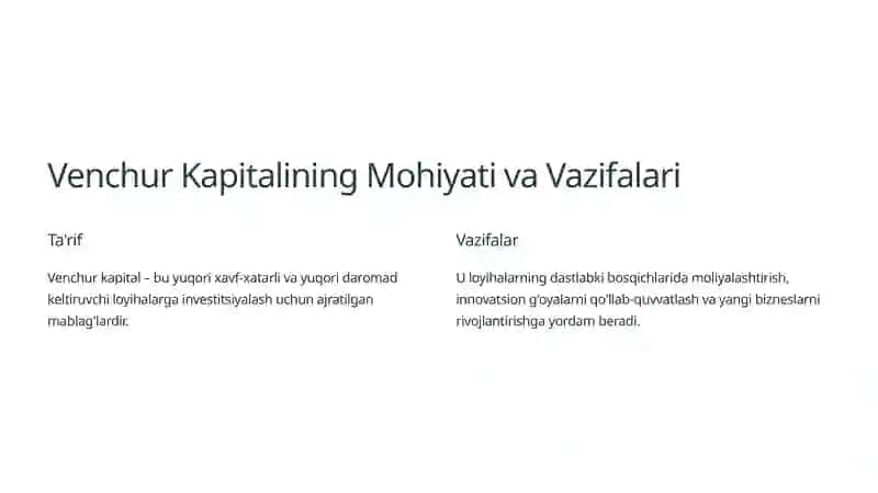 Venchur Fondlari: Tashkil Etilishi va Faoliyatini Boshqarish 2