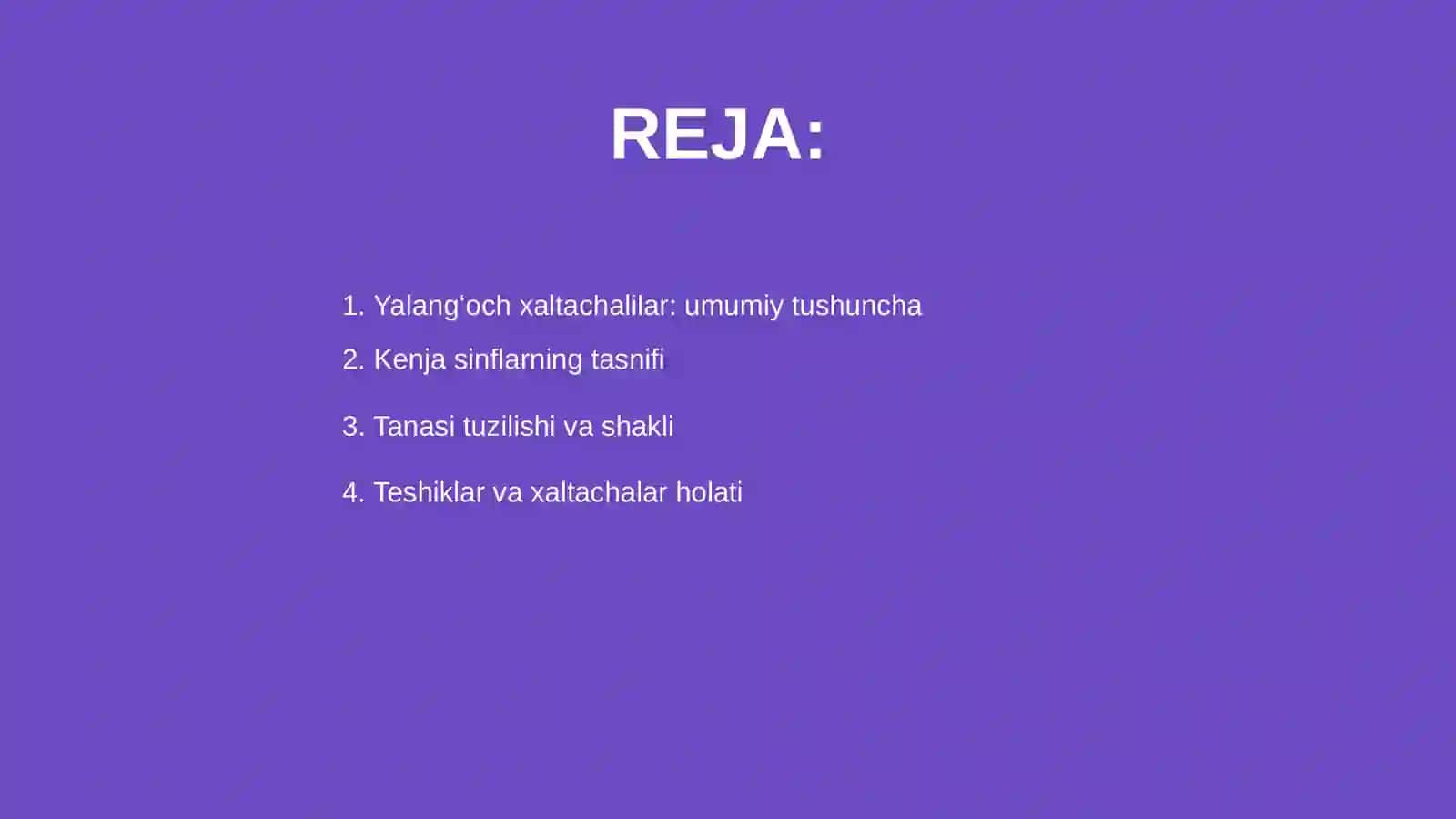 Yalangʻoch xaltachalilar kenja sinfining umumiy tavsifi 2