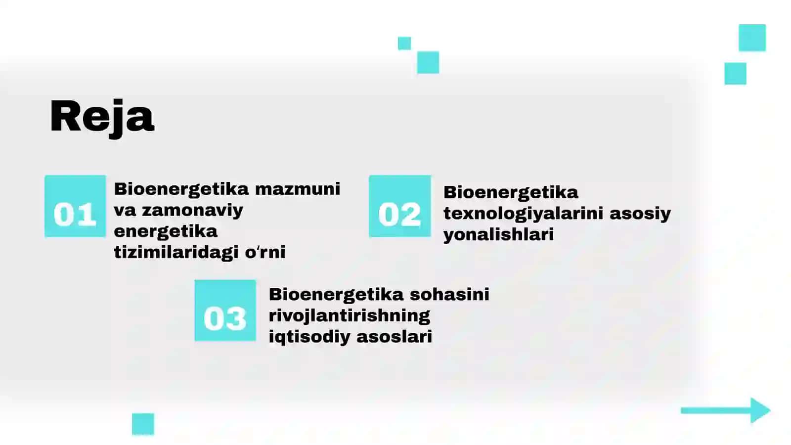 Oʻzbekiston bioenergetika sanoatini rivojlantirish strategiyasi 2