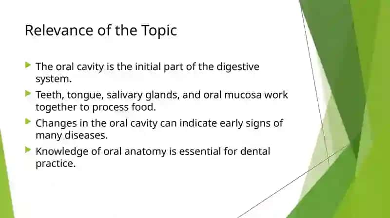 Anatomical structure of the oral cavity 2