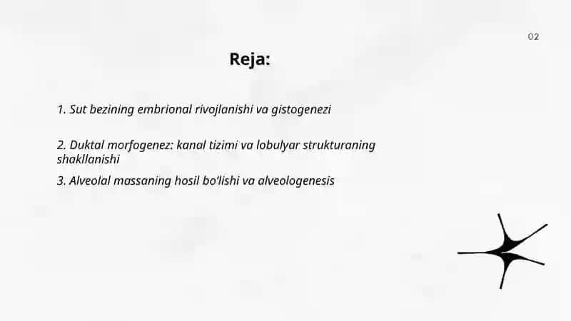 Sut bezlari gistogenezi va gistofiziologiyasi.Laktatsiya jarayonining neyrogumoral mexanizmlari 2