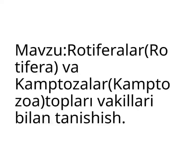 Kamptozoylar (Kamptozoa) 2