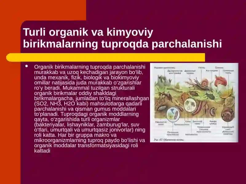 Organik moddalar sintezi 2