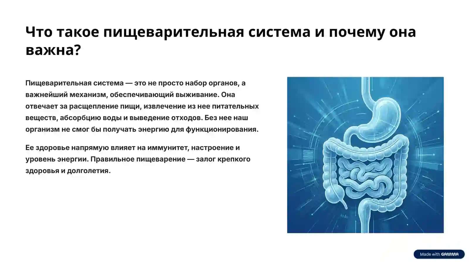 Пищеварительная система человека: Ваш путь к здоровью 2