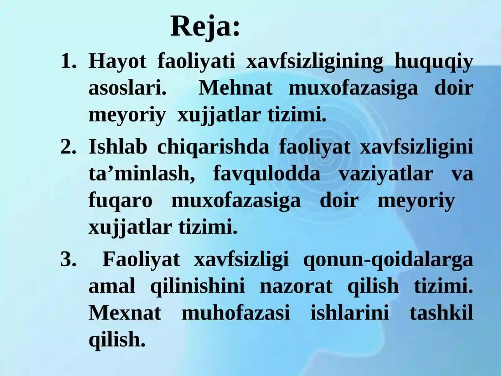 Hayot faoliyati xavfsizligining huquqiy va tashkiliy asoslari 2