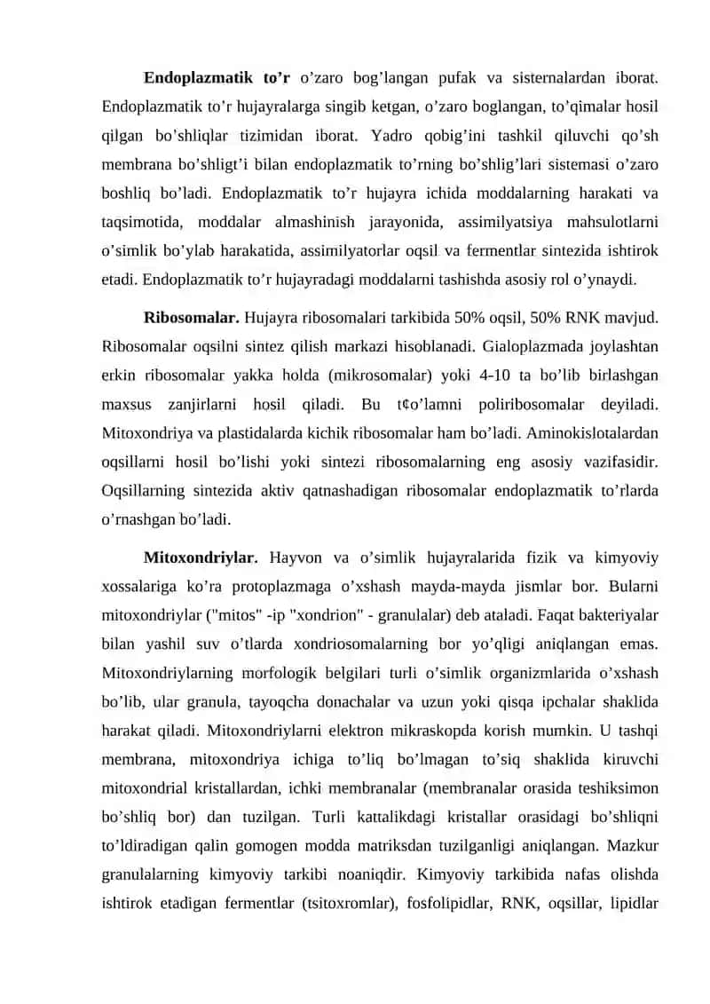 Piyoz po’sti epidermisi tuzilishi 2