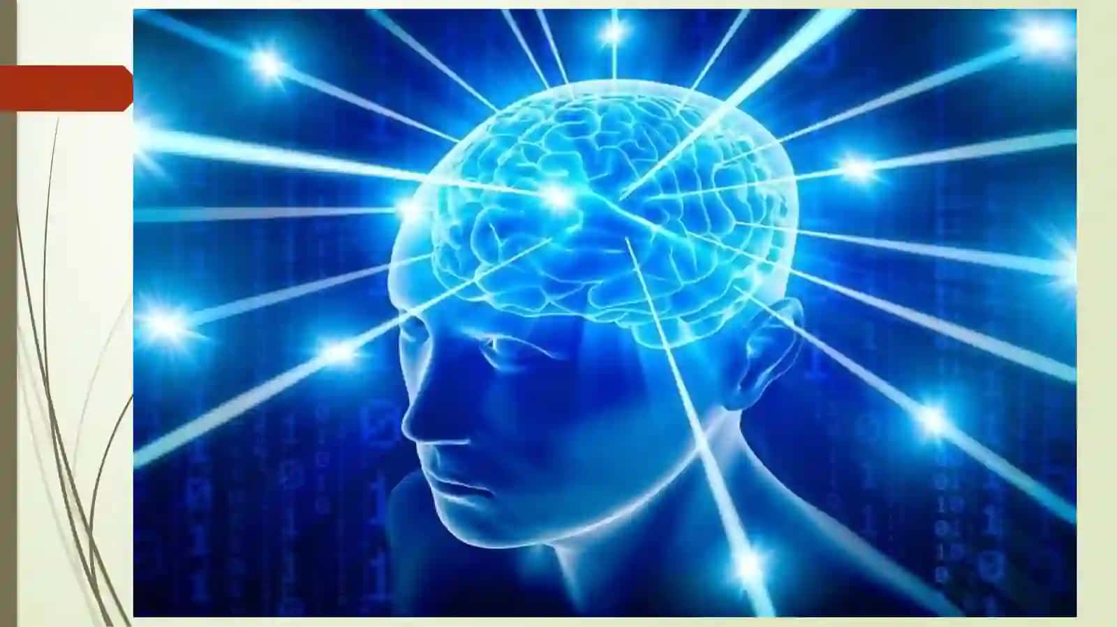 INTELLEKT VA KREATIVLIK NAZARIYALARI 2