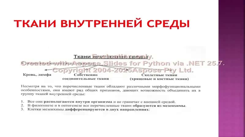 Ткани внутренней среды 2