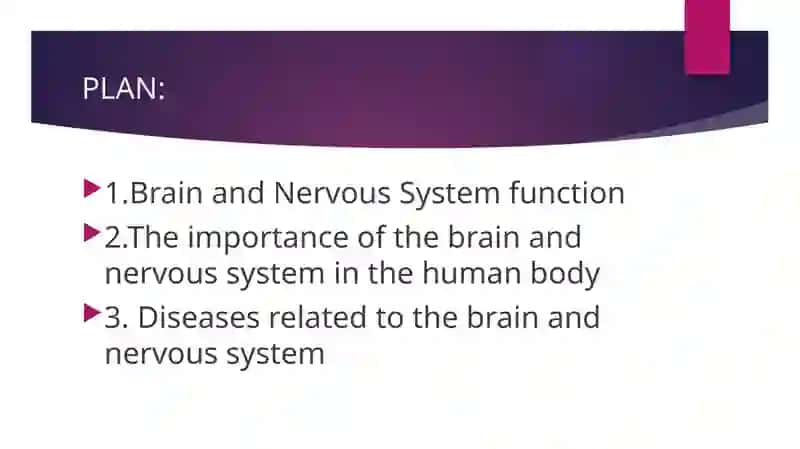 Brain and Nervous System 2