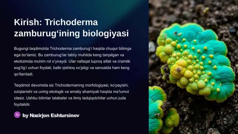 Trichoderma zamburugʻini biologiyasi 2