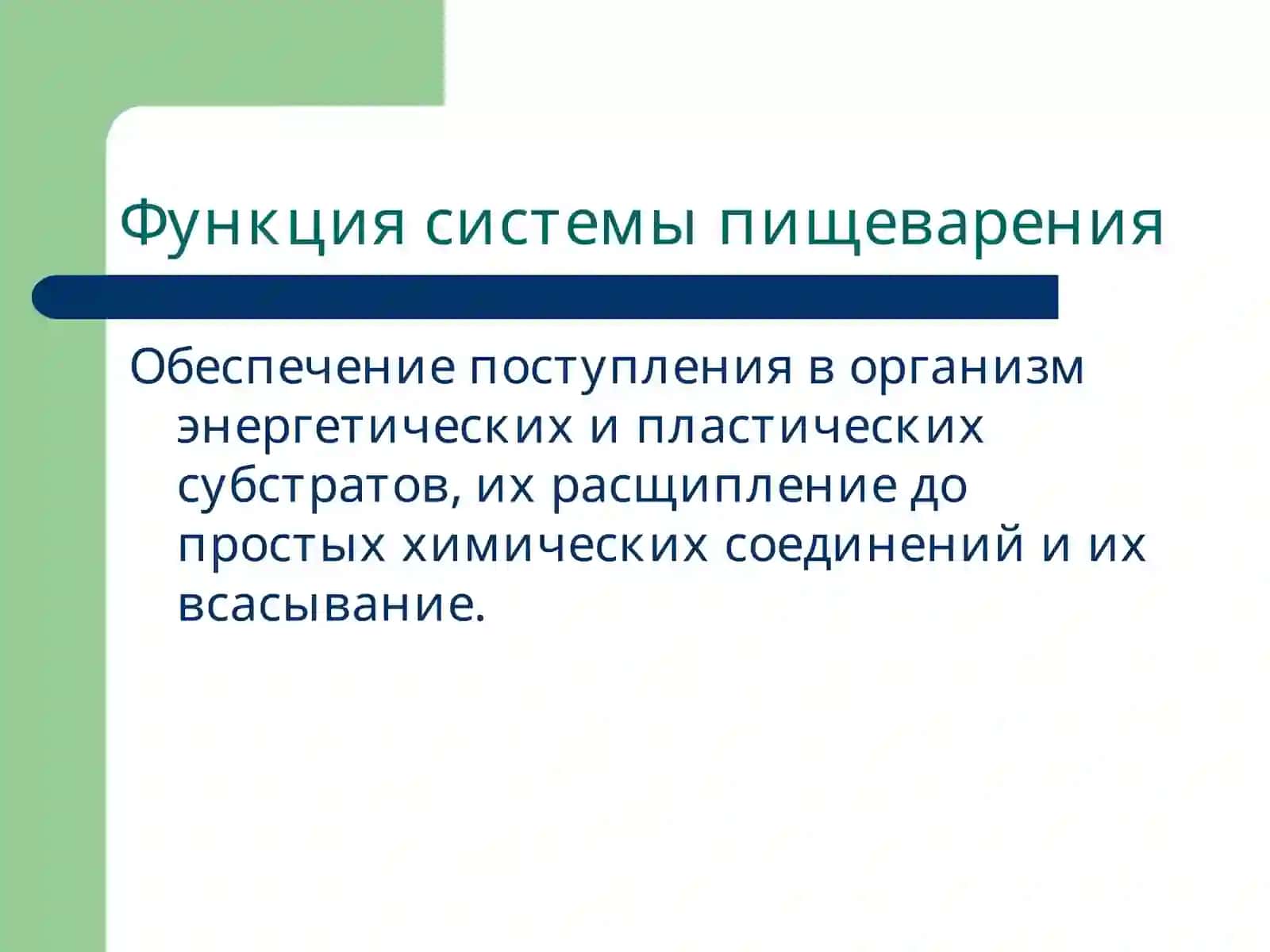 Патофизиология системы пищеварения 2