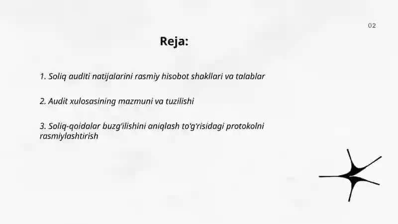 Soliq auditi natijalarini rasmiylashtirish 2