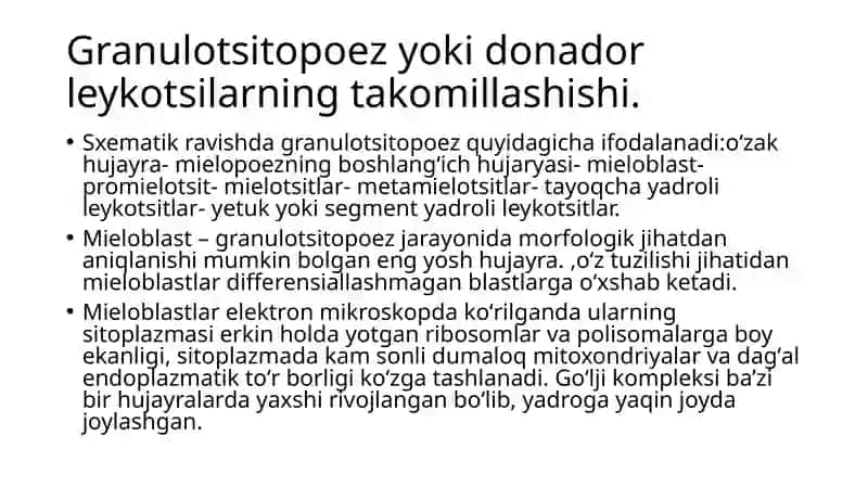 Granulotsitopoez 2