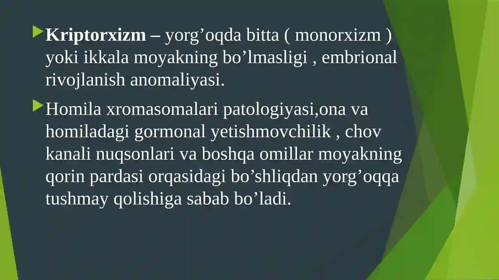 Kriptorxizm 2