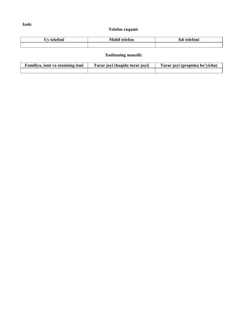 CV Rezyume Ishga kirish uchun namuna 2