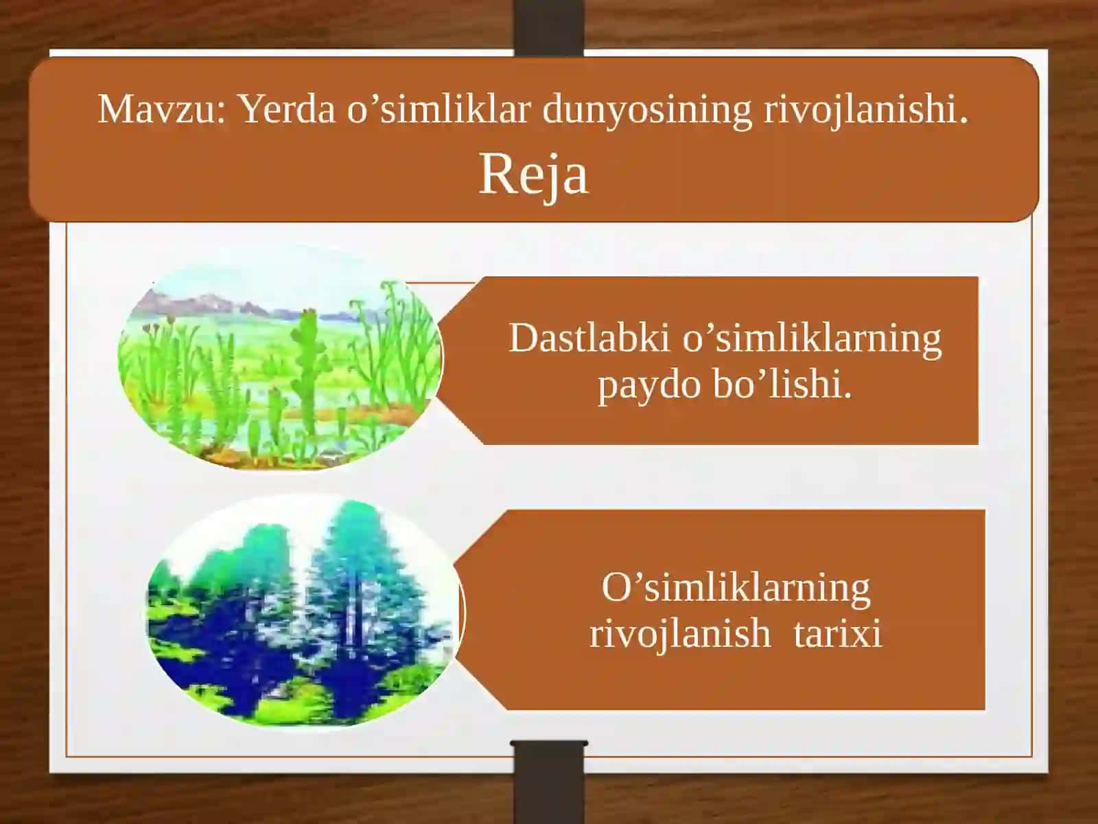 6-sinf Botanika dars ishlanma. Yerda o'simliklar dunyosining rivojlanishi 2
