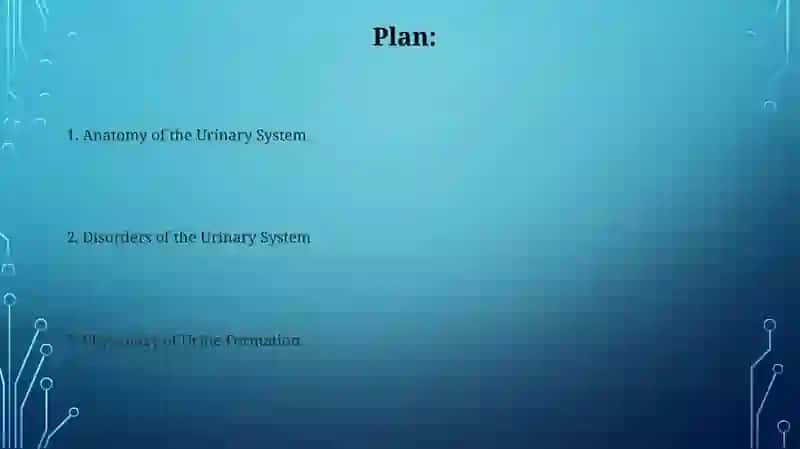 Urinary system 2