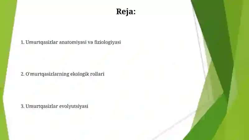 Umurtqasiz hayvonlarning anatomiyasi fiziologiyasi sistemasi evolutsiya va tabiatda tutgan o'rni 2