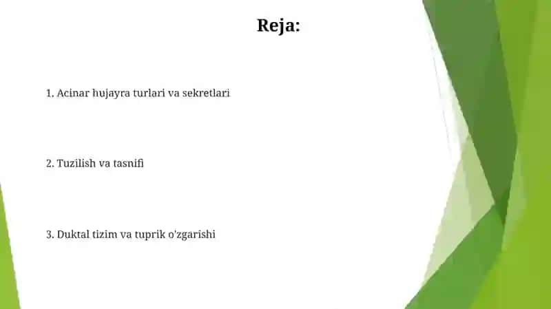 Tam bilish azolari gistalogiyasi 2