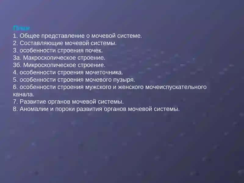 ОБЩАЯ АНАТОМИЯ МОЧЕВОЙ СИСТЕМЫ 2