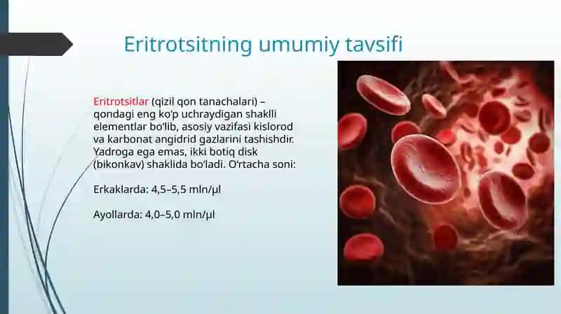 Eritrotsitlar, turlari funksiyalari. Gemoglobin va uning turlari. Leykotsitlar, tibbiyotdagi ahamiyati. Kamqonlik. Gemostaz. Qon guruhlari. Rezus faktorlar. Qon quyish asoslari 2
