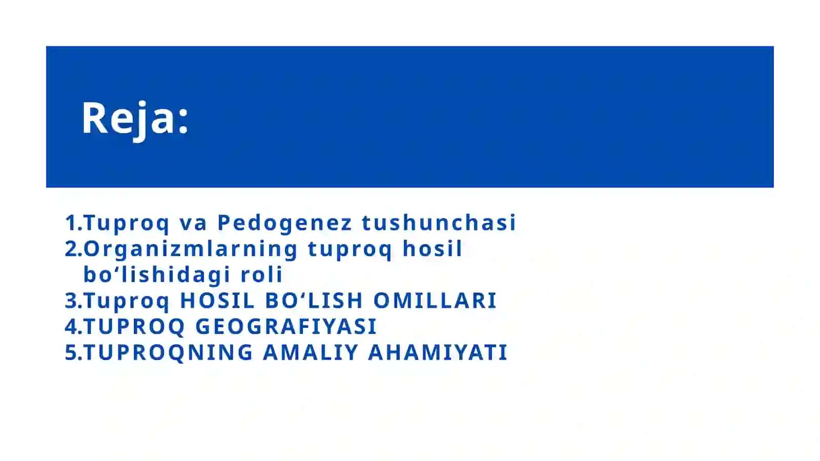 Organizmlar va tuproq hosil bo‘lishi hamda geografiyasi 2