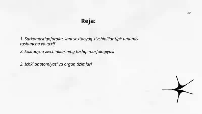 Sarkomastigoforalar yani soxtaoyoq xivchinlilar tipi 2