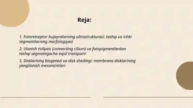 Fotoretseptor hujayralarining ultrastrukturasi va gistofiziologiyasi 2