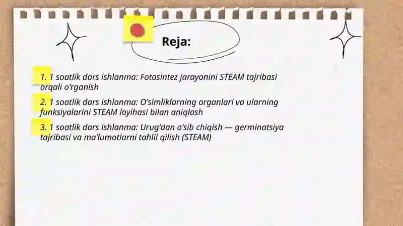 Oʻsimliklar guruhi mavzusida 1 soatlik dars ishlanma STEAMni qoʻllab 2