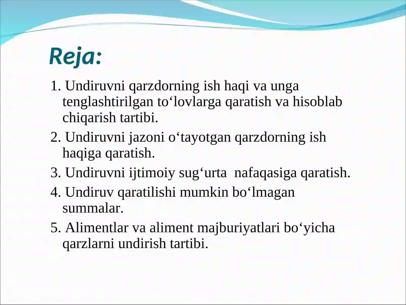 Undiruvni qarzdorning ish haqi va unga tenglashtirilgan to‘lovlarga qaratish va hisoblab chiqarish tartibi 2