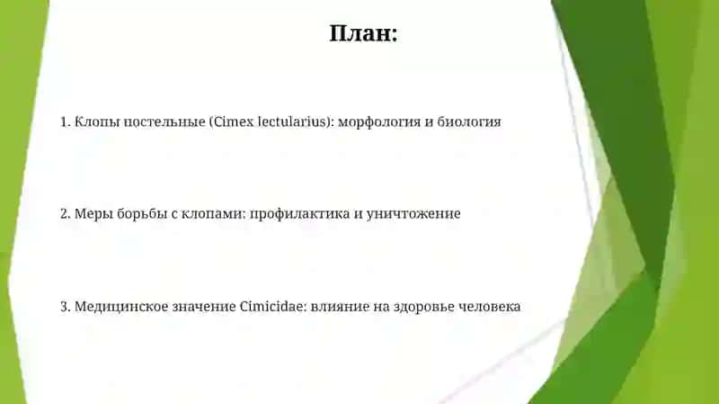 Медицинское значение Cimicidae: влияние на здоровье человека 2