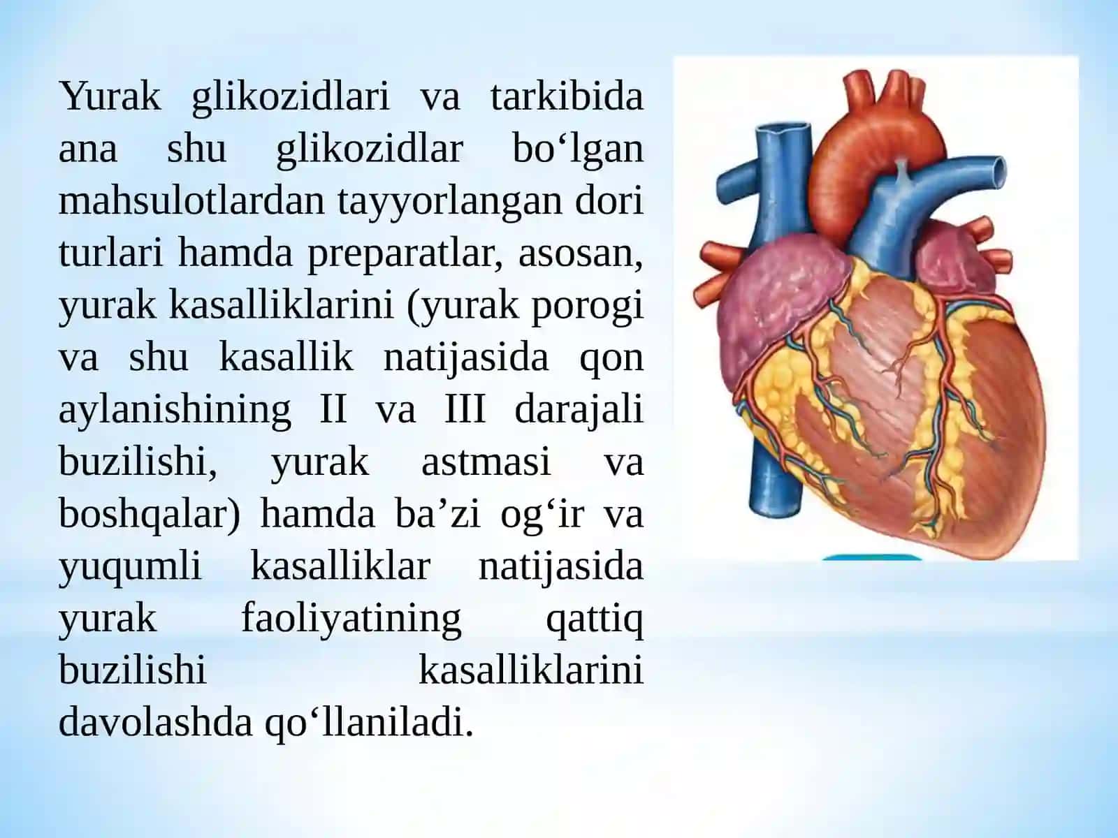 Glikozidlar va dorivor o‘sishlar 2
