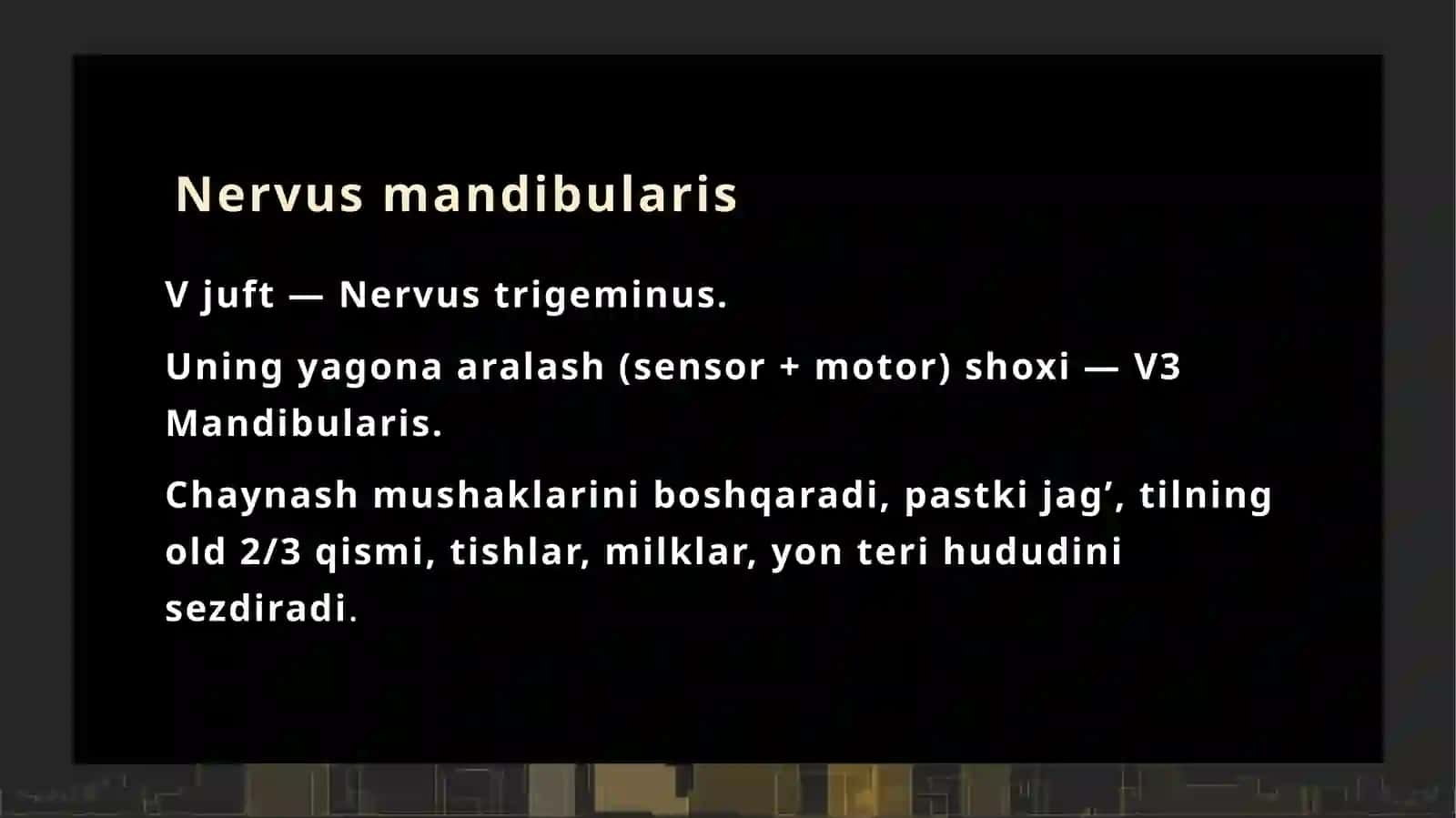 Nervus mandibularis (V3) 2