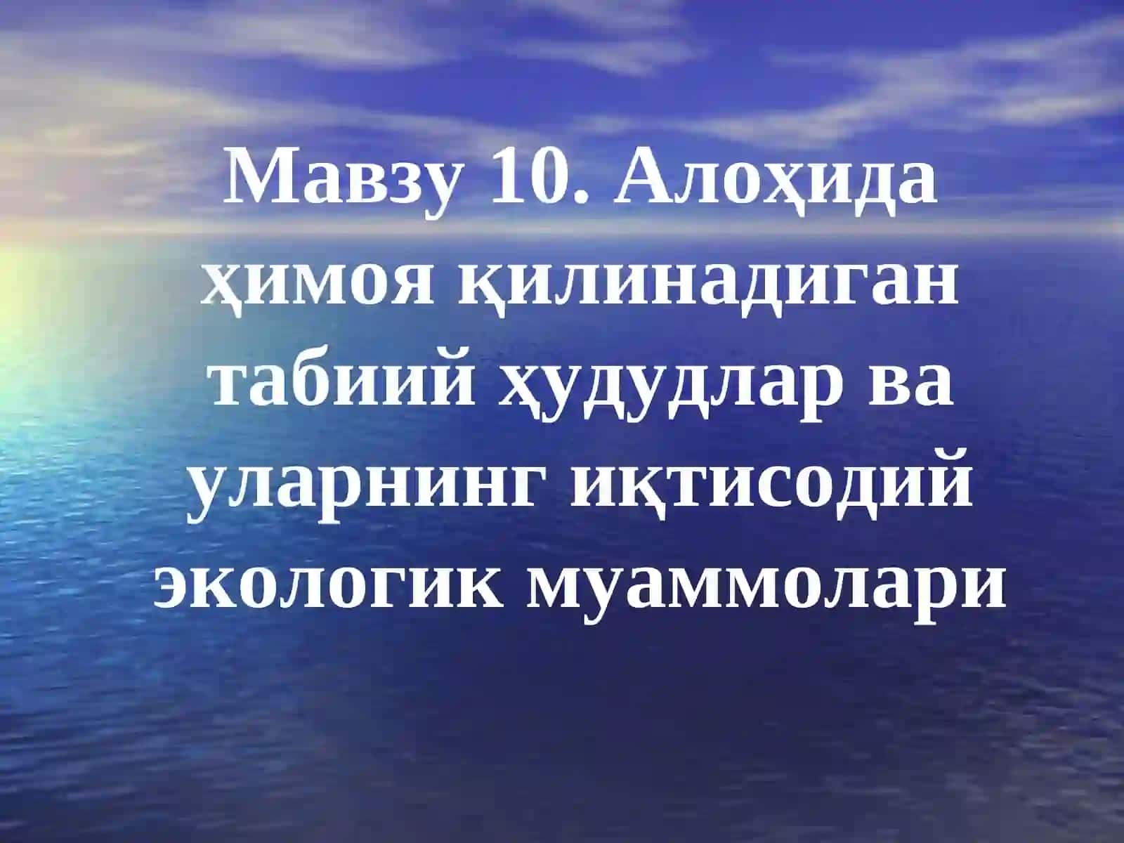 Алоҳида ҳимоя қилинадиган табиий ҳудудлар ва уларнинг иқтисодий экологик муаммолари 2