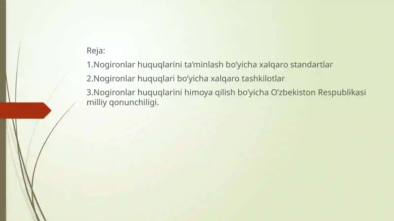 Nogironlar huquqlarini himoya qilish 2