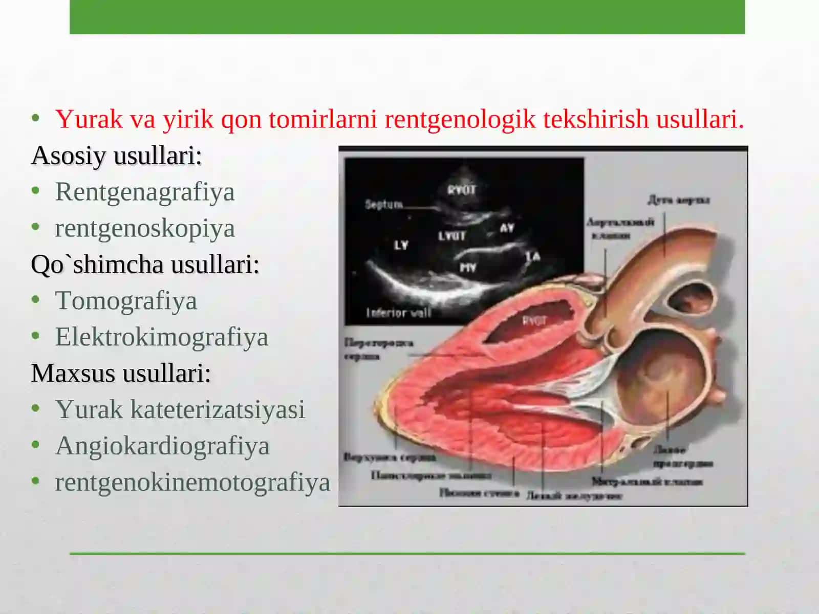 Yurak va yirik qon tomirlar kasalliklarining kompleks nur diagnostikasi 2