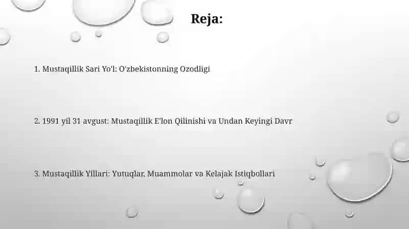 OʻZBEKISTON Respublikasining Mustaqil Davlat Maqomini Olish 2