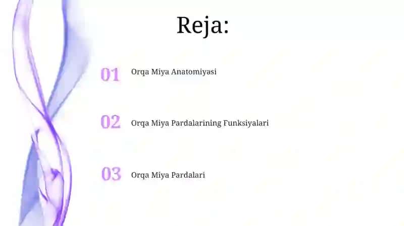 Orqa Miya Pardalarining Funksiyalari 2