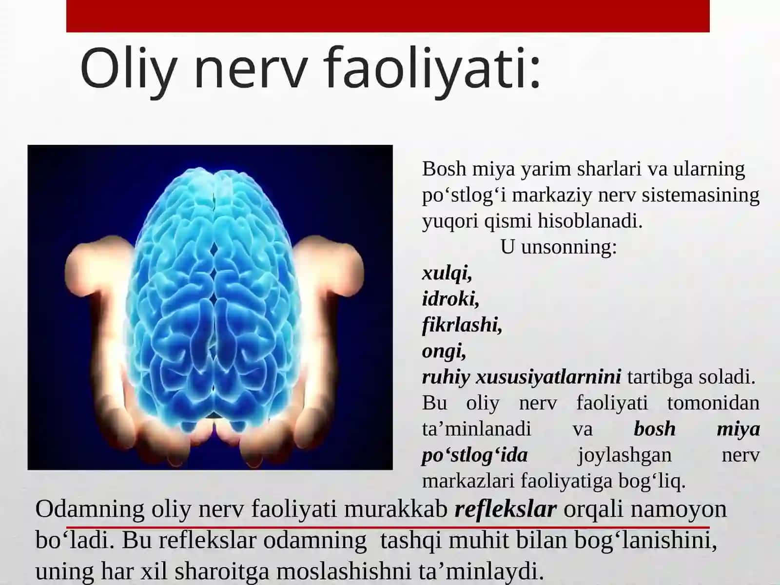 Oliy nerv faoliyati 2