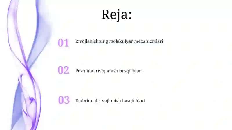 Rivojlanish biologiyasi Ontogenez bosqichlari 2