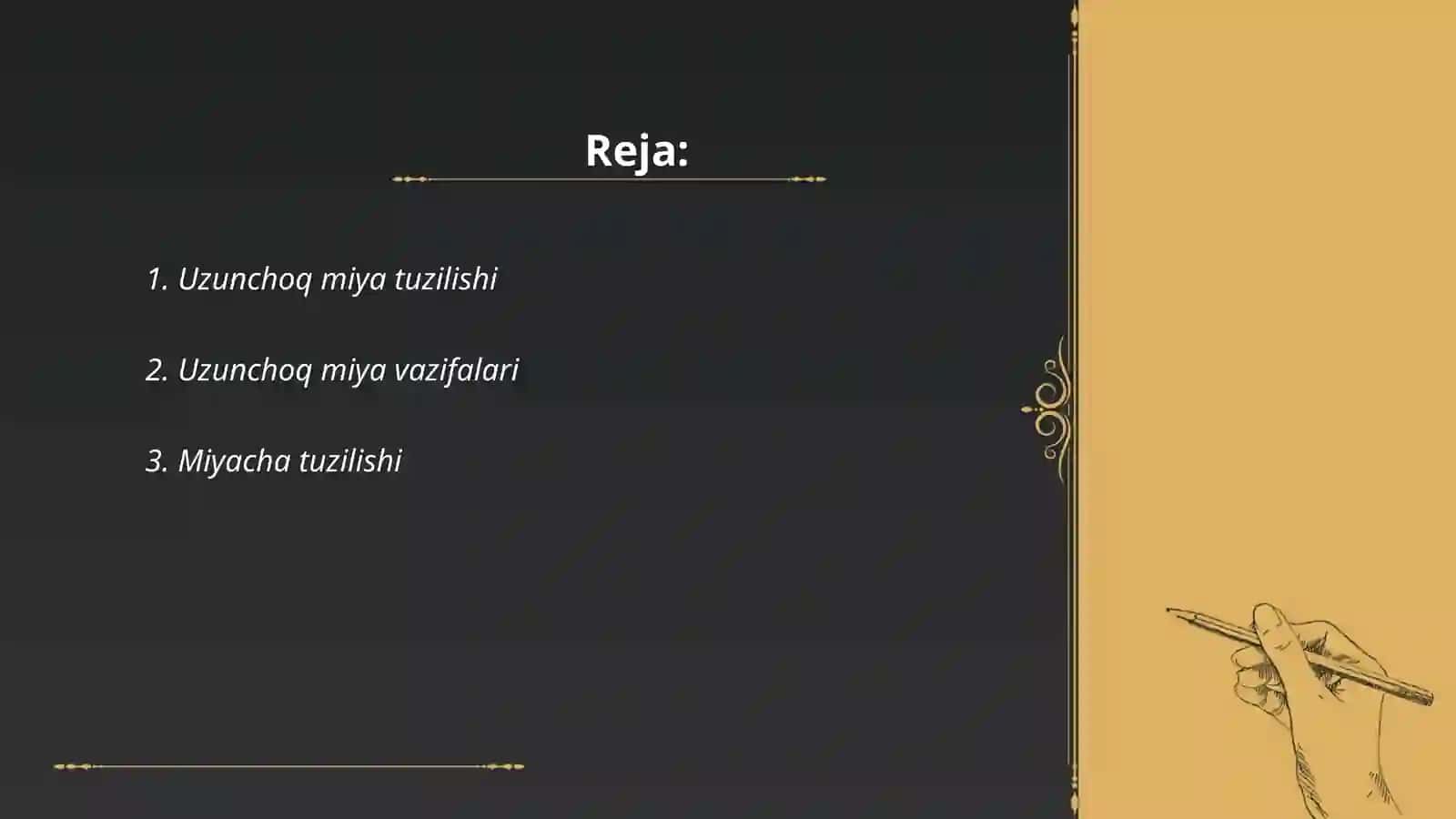 Uzunchoq miya miya koʻprigi miyacha 2