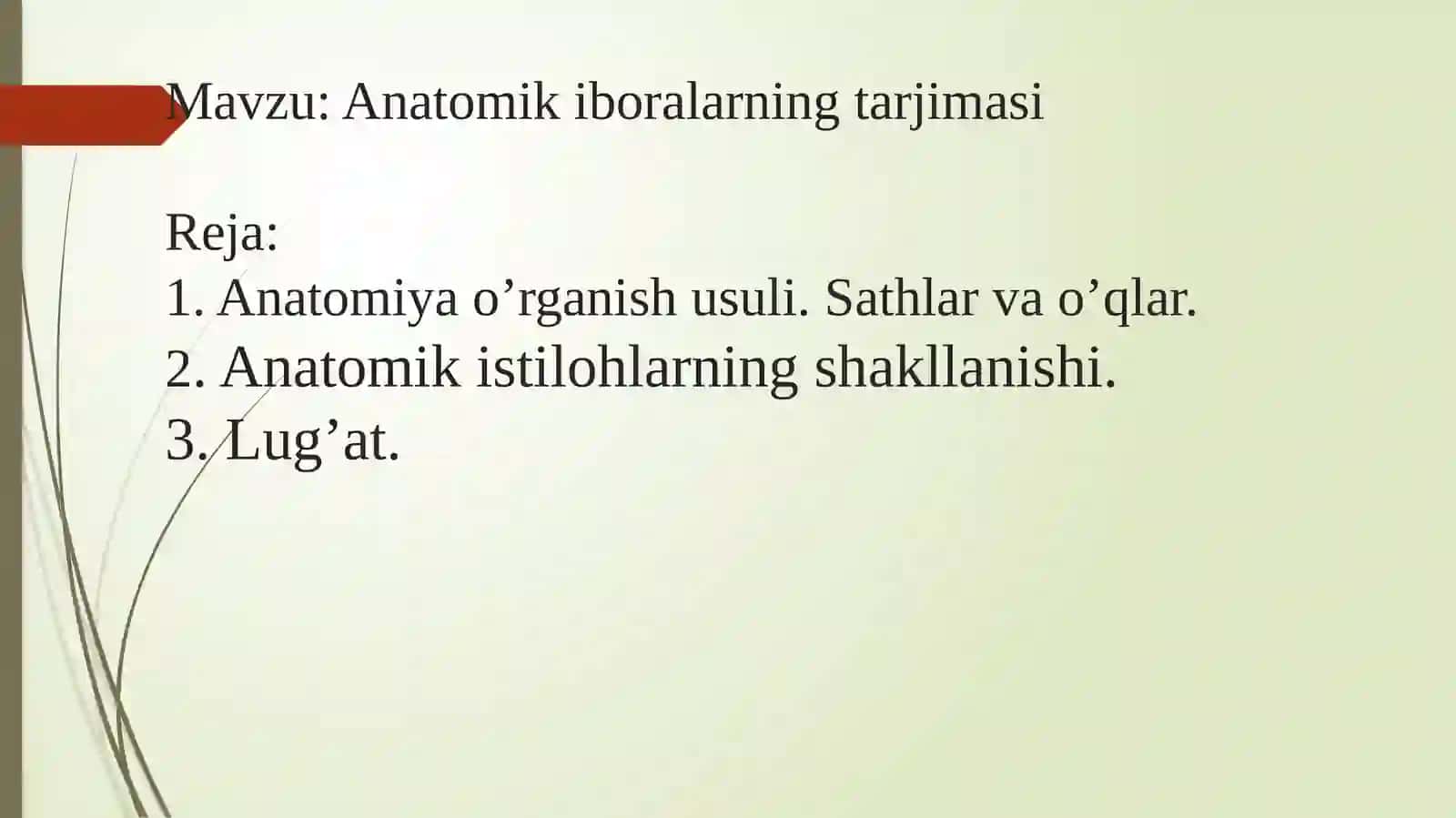 Anatomik iboralarning tarjimasi 2