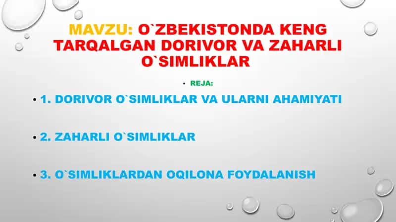 O`zbekistonda keng tarqalgan dorivor va zaharli o`simliklar taqdimoti 2