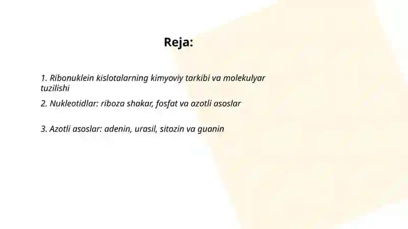 Ribonuklein kislotalar 2