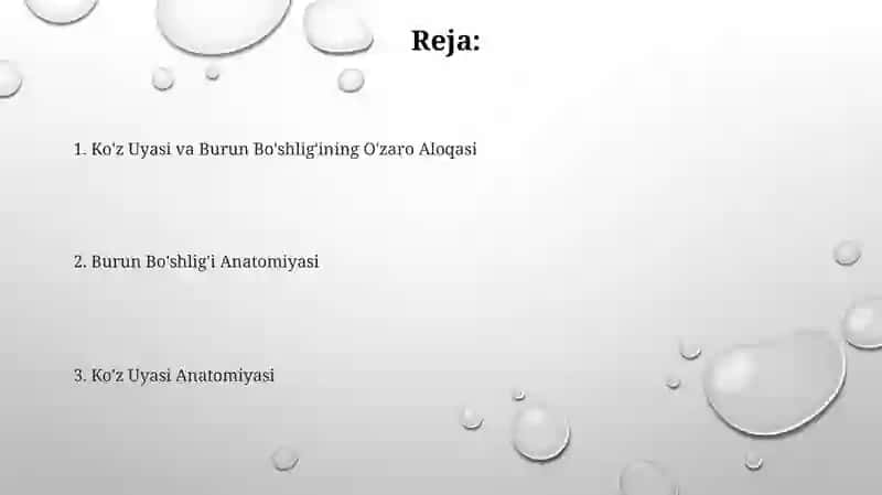 Ko'z Uyasi va Burun Bo'shlig'ining O'zaro Aloqasi 2